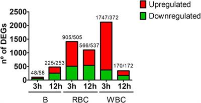 A Transcriptomic Study Reveals That Fish Vibriosis Due to the Zoonotic Pathogen Vibrio vulnificus Is an Acute Inflammatory Disease in Which Erythrocytes May Play an Important Role